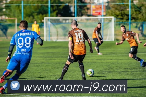 九游体育APP 封面图